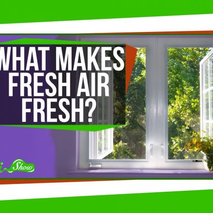 What Makes Fresh Air Fresh?