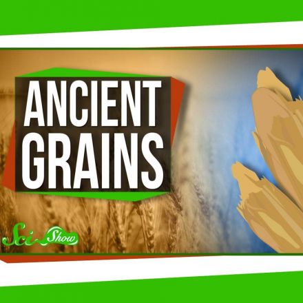 Are Ancient Grains Really Better For You?