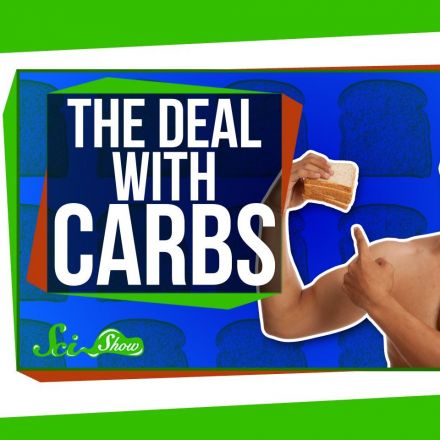 The Deal with Carbs