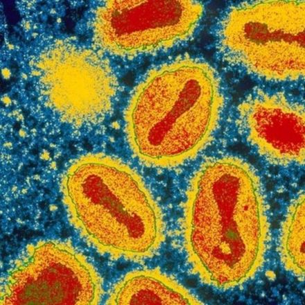 Smallpox eradication 'giant' Donald Henderson dies at 87