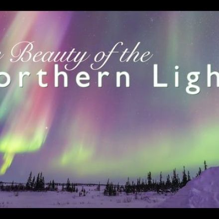 The Beauty of the Northern Lights