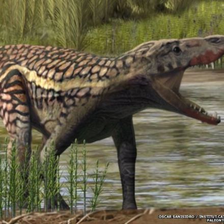 Unknown Ancient Reptile Roamed the Pyrenees Mountains