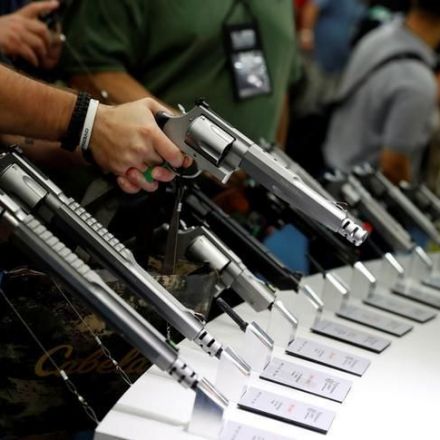 Hawaii Becomes First U.S. State to Place Gun Owners on FBI Database