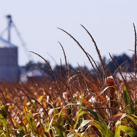 Falling Prices, Borrowing Binge Doom Midwest ‘Go-Go Farmers’