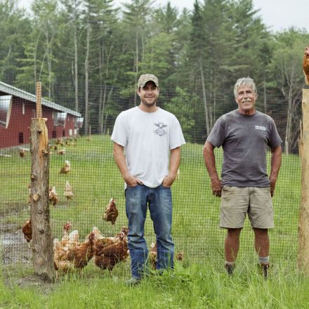 Organic Eggs Pit Factory Farms Against Family Farms