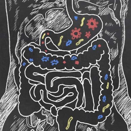 Study Links Gut Bacteria to Parkinson’s Disease
