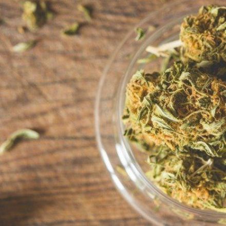 11 Findings From One of the Most Comprehensive Studies Ever on Marijuana's Health Effects