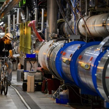 Large Hadron Collider: Weasel causes shutdown - BBC News
