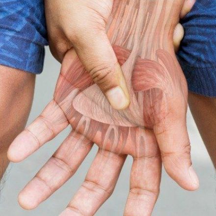 Here's What Happens Inside Your Body When You Flex Your Fingers