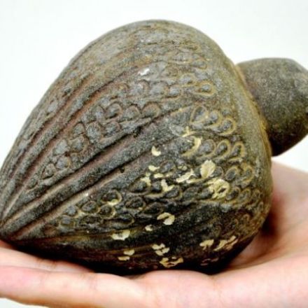 Crusader-Era Grenade Found Among Artifacts Collected By A Civilian