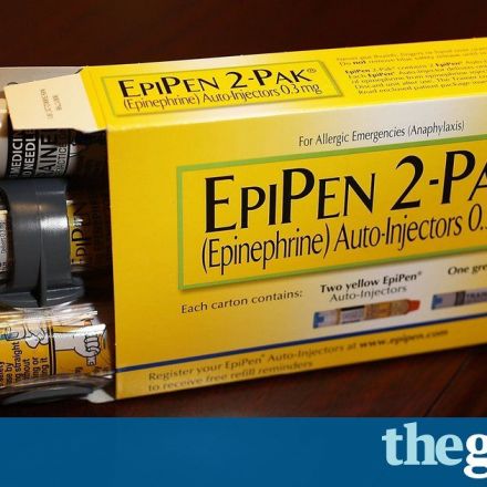 Mylan CEO sold $5m worth of stock while EpiPen price drew scrutiny