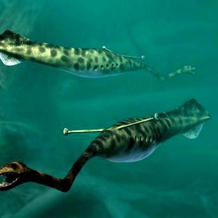 This Ancient Sea Creature Is So Messed Up, Scientists Can't Stop Arguing Over It