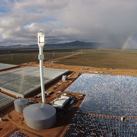 First farm to grow veg in a desert using only sun and seawater