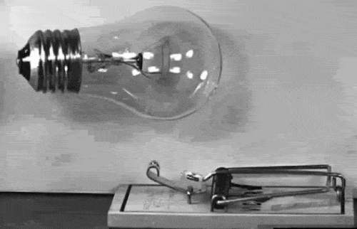 45b6b258d3b49414_animated.gif