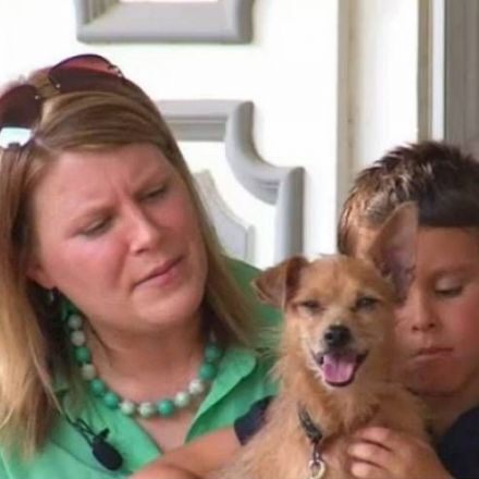 North Texas family reunited with dog 7 years after it went missing