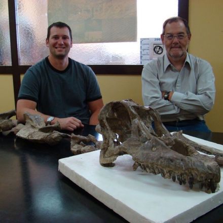 Paleontologists Just Unearthed the Skull of a HUGE Newly Discovered Dinosaur
