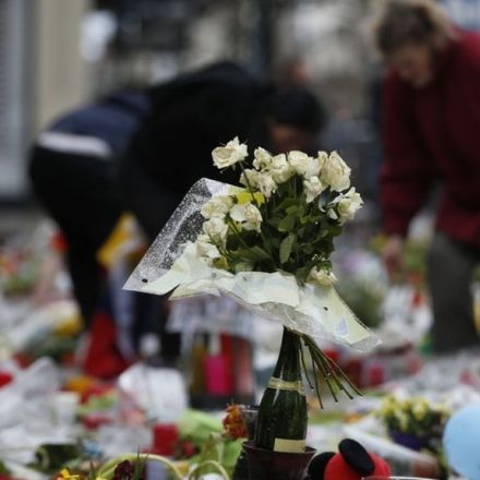 Brussels attacks: Belgium releases terror murder suspect