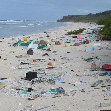 Millions Of Pieces Of Plastic Are Piling Up On An Otherwise Pristine Pacific Island