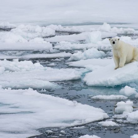 We may already be too late to stop the Arctic's ice completely disappearing