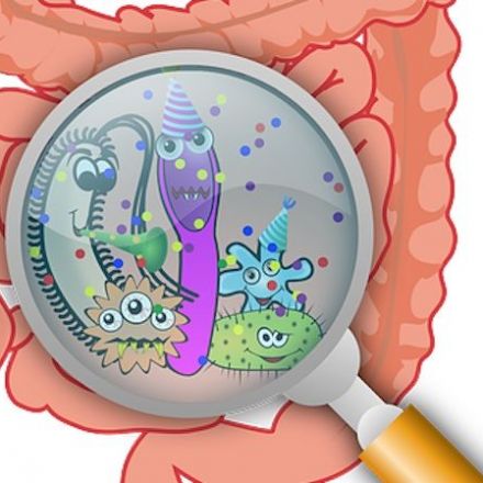 The gut microbiome in health and in disease