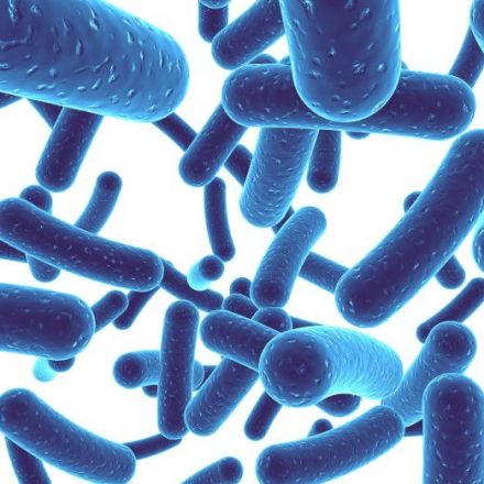 Treatment of Allergic Rhinitis with Probiotics: An Alternative Approach