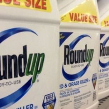 WHO Cancer Agency Asked Experts to Withhold Weed-Killer Documents