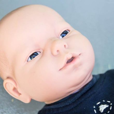 Virtual babies don’t discourage teenagers from wanting real ones