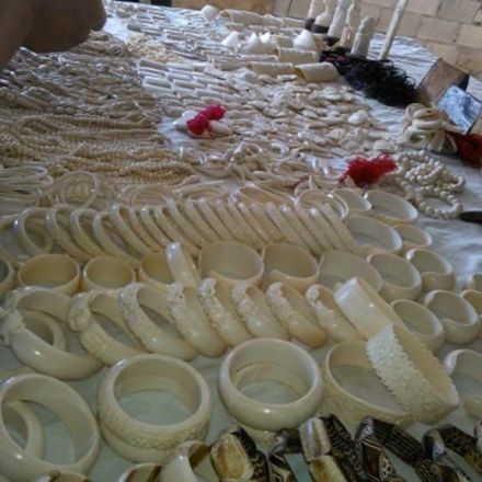 China sees sharp decline in ivory smuggling in 2016