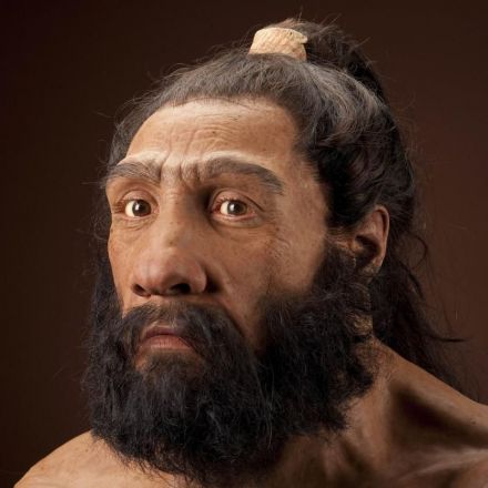 Humans and Neanderthals had sex. But was it for love?