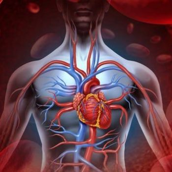 Molecule produced during fasting has anti-aging effect on vascular system