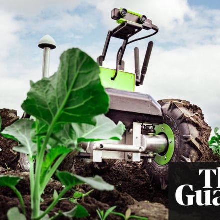 ‘We'll have space bots with lasers, killing plants’: the rise of the robot farmer