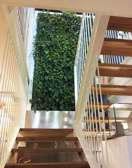 Stairs with green wall