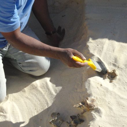 Archaeologists find 300,000-year-old stone tools in Saudi Arabia