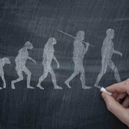 The Logic, Intelligence, and Wisdom of Believing Evolutionary Theory