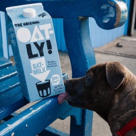 Oatly sues UK oat milk maker over trademark