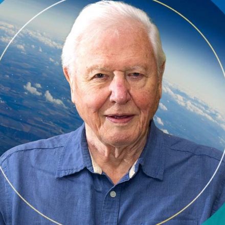Sir David Attenborough named 'Champion of the Earth' by UN