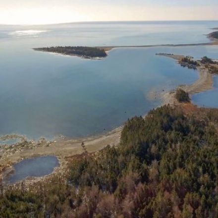 North America’s first whale sanctuary is taking shape in rural Nova Scotia