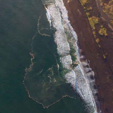 A suspected toxic spill in Russia's Far East has killed 95% of marine life on the seabed