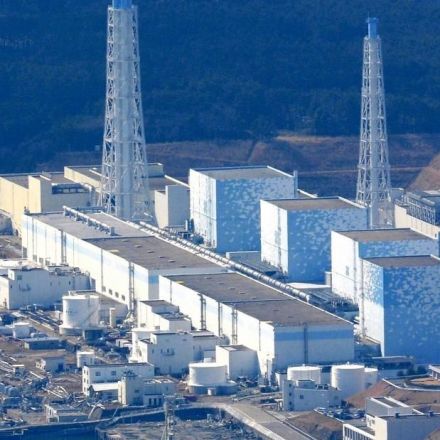 Fukushima water release could change human DNA, Greenpeace warns