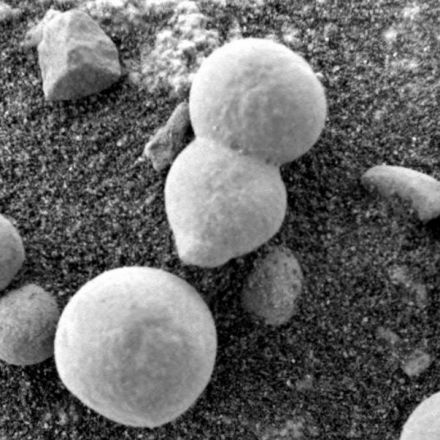 Mushrooms on Mars: Do These Images Show Proof of Life on Mars?