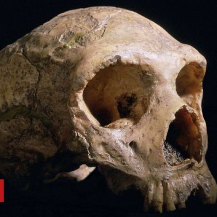 Viewpoint: Why we still underestimate the Neanderthals