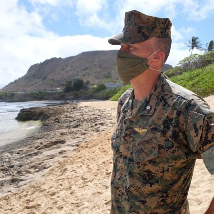 Hawaii Marines Are Now Guarding The Nests Of Endangered Species