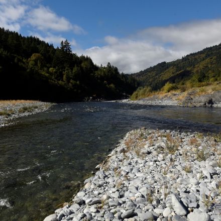 To save salmon, U.S. approves largest dam removal in history