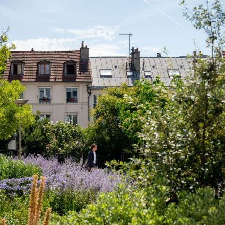 Climate change: How can Paris adapt to 50°C heat waves?