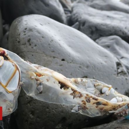 Island reveals rising tide of plastic waste