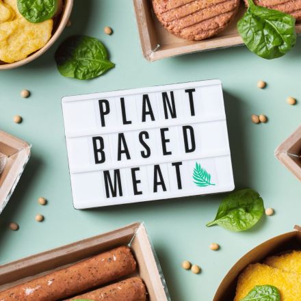 THE PLANT-BASED MEAT EXPLAINED (Detailed)