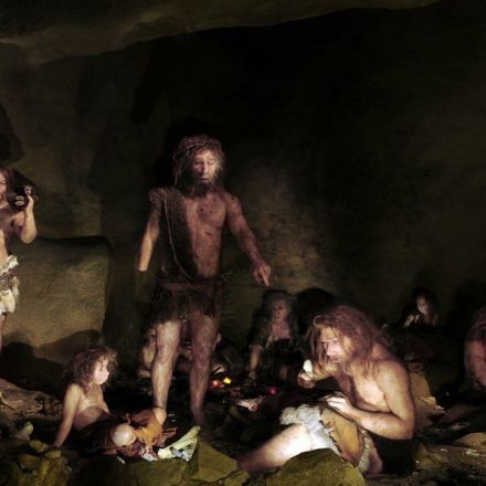 Neandertals may have had a lower threshold for pain