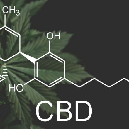 CBD enhances verbal episodic memory — potentially counteracting the memory impairments associated with THC