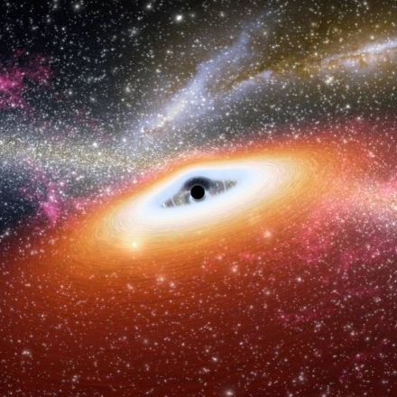 Black Hole Seeds Missing in Cosmic Garden