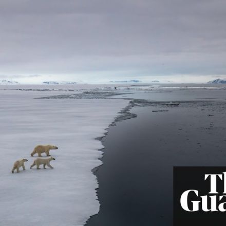 Domino-effect of climate events could move Earth into a ‘hothouse’ state